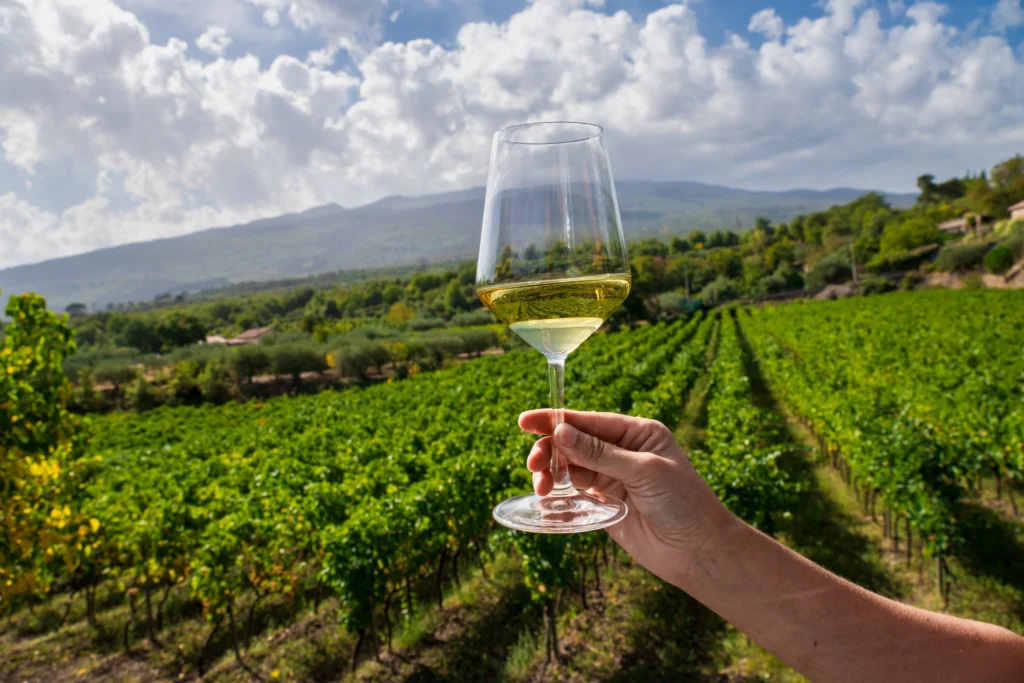 Un calice di vino bianco tra i vigneti dell’Etna