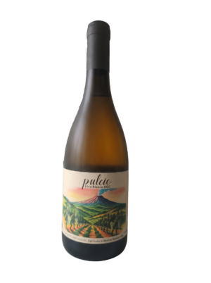 Pulcio