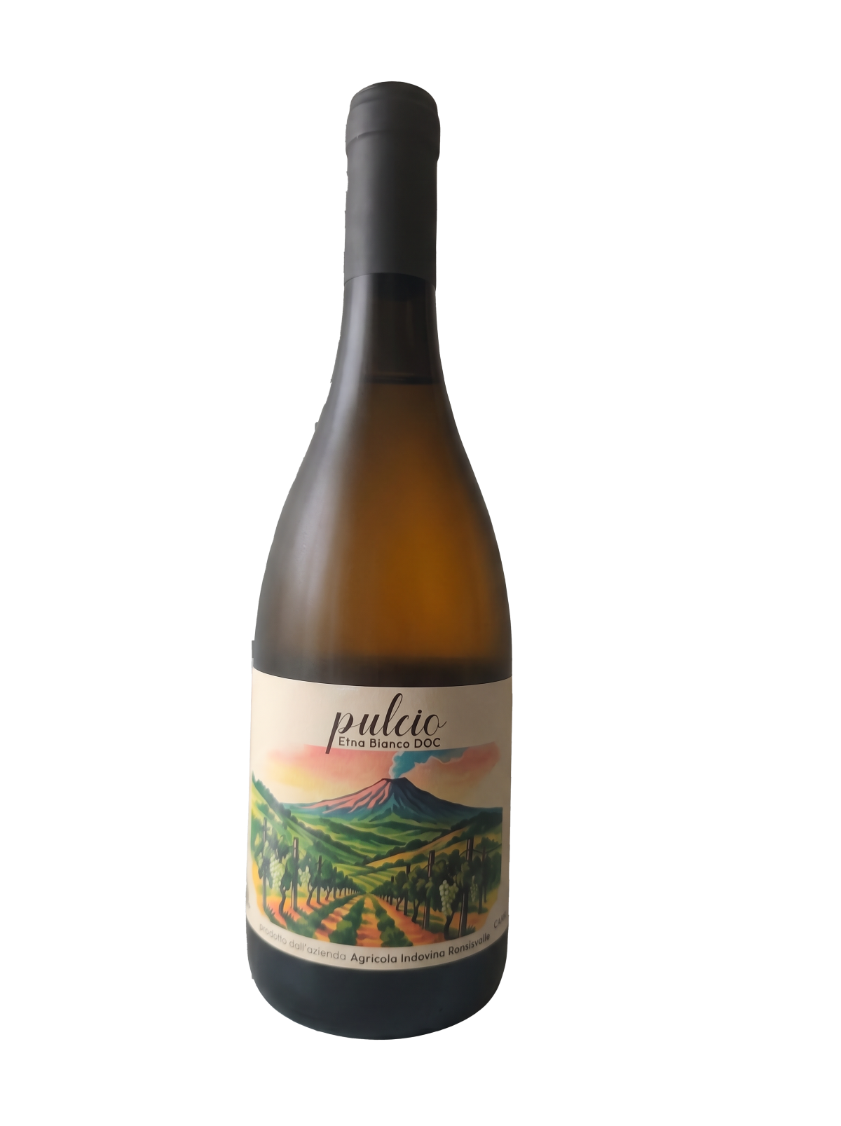 Pulcio